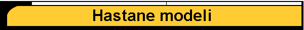 Hastane modeli