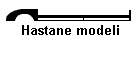 Hastane modeli